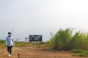 Cơn sốt đất nền của thị trường bất động sản phía Nam có dấu hiệu hạ nhiệt nhờ sự can thiệp của chính quyền địa phương. Ảnh: Việt Dũng