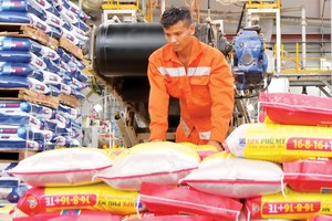 DPM: Nửa đầu năm ra lò nhiều sản phẩm mới