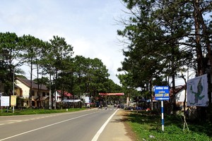 Măng Đen được mệnh danh là Đà Lạt 2