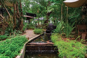 Ao cá trong vườn