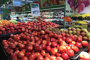 7 tháng 2019, chi nhập khẩu rau, củ, quả của nước ta tăng cao kỷ lục, trị giá 1,15 tỷ USD, tăng 23% so với cùng kỳ năm 2018.