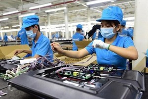 Hà Nội có 13 doanh nghiệp có tên trong Danh mục. TP.HCM có 38 doanh nghiệp..
