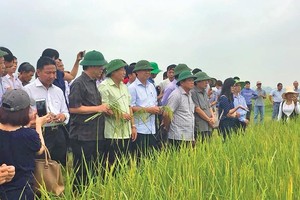 Cải thiện chính sách thu hút đầu tư vào nông nghiệp, nông thôn