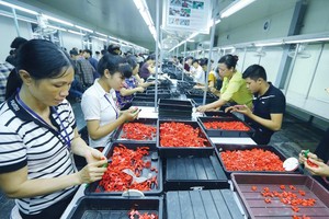 Nếu giảm giờ làm, siết giờ làm thêm, nhiều doanh nghiệp sẽ gặp khó trong việc đảm bảo sản xuất và cạnh tranh. Ảnh: Đ.T