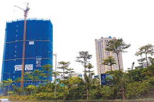 Khách hàng săn lùng căn hộ cao cấp sắp bàn giao tại khu vực quận Tây Hồ