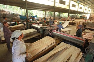 Việc kiểm soát nguồn gốc xuất xứ hàng hóa cần được thắt chặt trong bối cảnh rất dễ xảy ra tình trạng đội lốt hàng hóa Việt Nam xuất khẩu vào các thị trường chủ lực như Mỹ, EU Đơn vị: Tỷ USD. Nguồn: Tổng cục Hải quan. Ảnh: Đức Thanh