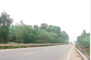 Dự án này có chiều dài tuyến là 7,5 km, điểm đầu giao với Quốc lộ 46, huyện Nghi Lộc và điểm cuối giao với Tỉnh lộ 535 thị xã Cửa Lò (nối với tỉnh Hà Tĩnh qua cầu Cửa Hội). Ảnh minh họa