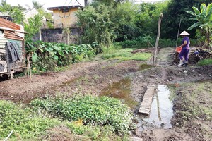Khu đất này của bà Loan mua cả chục năm nay, nhưng không xây được nhà, không làm được hồ sơ giấy tờ