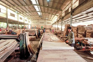 Hành trình để cải thiện năng lực cạnh tranh của doanh nghiệp Việt Nam còn rất nhiều chông gai. Ảnh: Đức Thanh