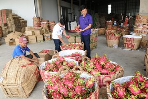 Thương chiến Mỹ - Trung tác động lớn đến xuất khẩu nông sản của Việt Nam
