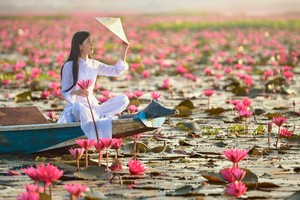 Sống ở thành phố xanh