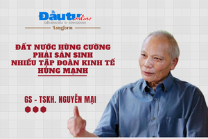 Đất nước hùng cường phải sản sinh nhiều tập đoàn kinh tế hùng mạnh