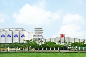 Lỗ lũy kế Halico gần gấp đôi vốn điều lệ