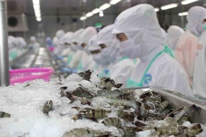 9 tháng Thực phẩm Sao Ta lãi ròng hơn 168 tỷ đồng, tăng 41% so với cùng kỳ năm 2018