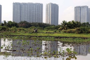 Ruộng vườn, đất đai bị hoang phế là tình cảnh chung của nhiều dự án “treo” nhiều năm tại TP.HCM. Ảnh: Trọng Tín