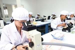Dòng vốn FDI là động lực quan trọng thúc đẩy kinh tế Việt Năm tăng trưởng năng động trong hơn 3 thập kỷ qua. Ảnh: Đức Thanh