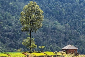 Quản lý phát thải carbon: Doanh nghiệp Việt không quan tâm sẽ chậm