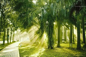 Không gian sống xanh sinh thái tại Khu đô thị Ecopark.