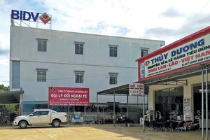 Tỉnh Kon Tum sẽ hỗ trợ các doanh nghiệp nhỏ và vừa tiếp cận các nguồn vốn tín dụng.