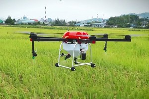 Drone phun thuốc trừ sâu hiệu quả gấp 40 lần con người