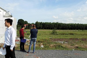 Đất nền luôn là kênh đầu tư được nhiều nhà đầu tư cá nhân ưa thích