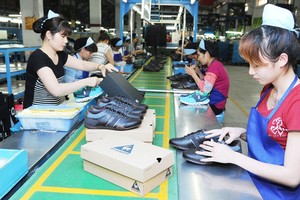 Một năm thực thi CPTPP: Xuất khẩu tăng chưa đúng kỳ vọng