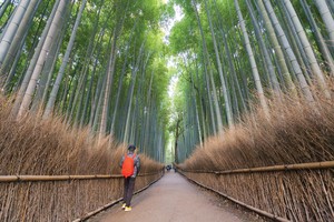 Hiểu đúng về phong thủy