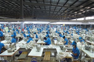 Lũy kế cả năm, TNG đạt doanh thu thuần hơn 4.612 tỷ đồng, lợi nhuận sau thuế gần 231 tỷ đồng. Cả hai chỉ tiêu cùng tăng khoảng 28% so với năm 2018.