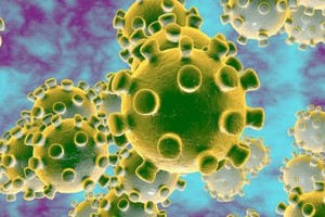 Đà Nẵng: Bệnh nhân Trung Quốc tử vong không phải do virus Corona
