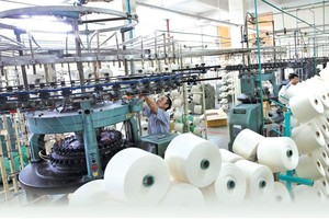 Nhìn lại một năm thực hiện CPTPP