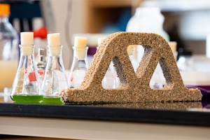 Gạch bê tông “sống” có thể tự vá lành và sinh sôi