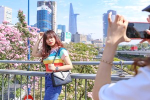 Đường phố Sài Gòn nên thơ với sắc hoa Kèn Hồng