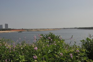 Sông Cổ Cò đoạn qua địa phận TP. Đà Nẵng.