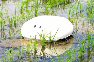 Robot “vịt” giúp nông dân Nhật diệt cỏ mà không cần dùng tới hóa chất