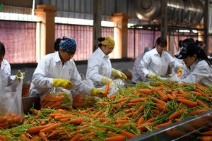 Có gần 9.000 người lao động bị ảnh hưởng vì dịch bệnh do virus Covid-19 gây ra.