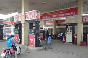 Kết thúc năm 2019, lưu chuyển tiền thuần của Thalexim ghi nhận âm 878 tỷ đồng, giảm 30% so với năm 2018.