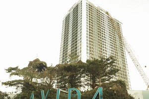 Một trong 6 dự án bị ách tắc của Công ty Quốc Cường Gia Lai đang kiến nghị cần sớm được tháo gỡ (ảnh: Việt Dũng)