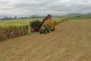 Thủ tướng Chính phủ yêu cầu Bộ Công Thương áp dụng biện pháp phòng vệ phù hợp với pháp luật Việt Nam và thông lệ quốc tế để bảo vệ sản xuất mía đường trong nước