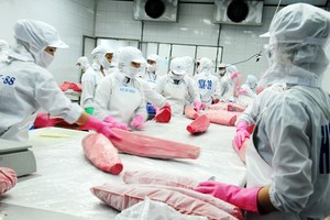 Sự bùng phát của virus SARS-nCoV-2 đang khiến người dân Italy tích trữ rất nhiều cá ngừ đóng hộp vì các sản phẩm này có thể dự trữ trong thời gian dài. 