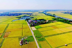 Thủ tục gia hạn thời gian sử dụng đất nông nghiệp