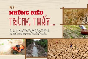  Đồng bằng sông Cửu Long mùa đỏ trời, trắng đất - Kỳ 2: Những điều trông thấy...“