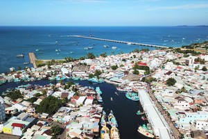 (Ảnh minh họa: Internet)