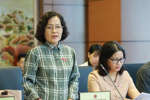 Bà Trần Thị Quốc Khánh, đại biểu Quốc hội hiếm hoi có sáng kiến lập pháp.