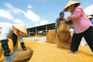 Bộ Công Thương giữ nguyên đề xuất cho phép tiếp tục xuất khẩu gạo nhưng phải kiểm soát chặt số lượng theo từng tháng với số lượng xuất khẩu trong tháng 4 là 400.000 tấn.