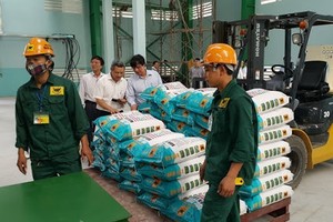Lợi nhuận của công ty mẹ và hợp nhất của Phân bón Bình Điền đều tăng sau kiểm toán