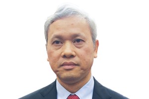 TS. Nguyễn Bích Lâm