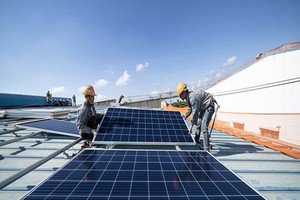 EVN đề nghị Bộ Công thương công khai danh sách dự án điện mặt trời đã được bổ sung quy hoạch tại Ninh Thuận