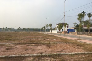 Định vị lại dòng sản phẩm phù hợp với nhu cầu đầu tư và ở thật là hướng đi nhiều doanh nghiệp địa ốc lựa chọn trong bối cảnh hiện nay