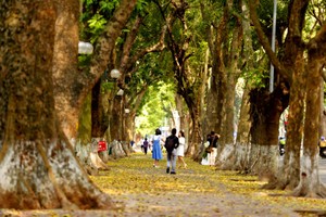 Vẻ đẹp “mùa thu thứ hai” của Hà Nội
