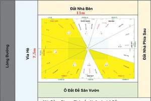 Thiết kế nhà ở theo phong thủy và theo tuổi